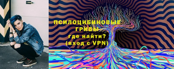 эйфоретик Арсеньев