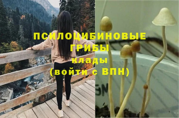 эйфоретик Арсеньев