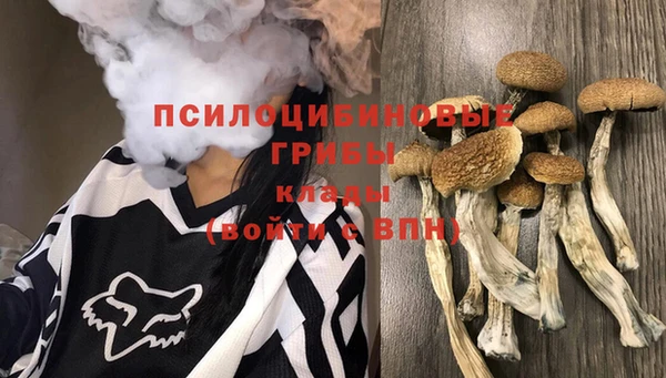 эйфоретик Арсеньев